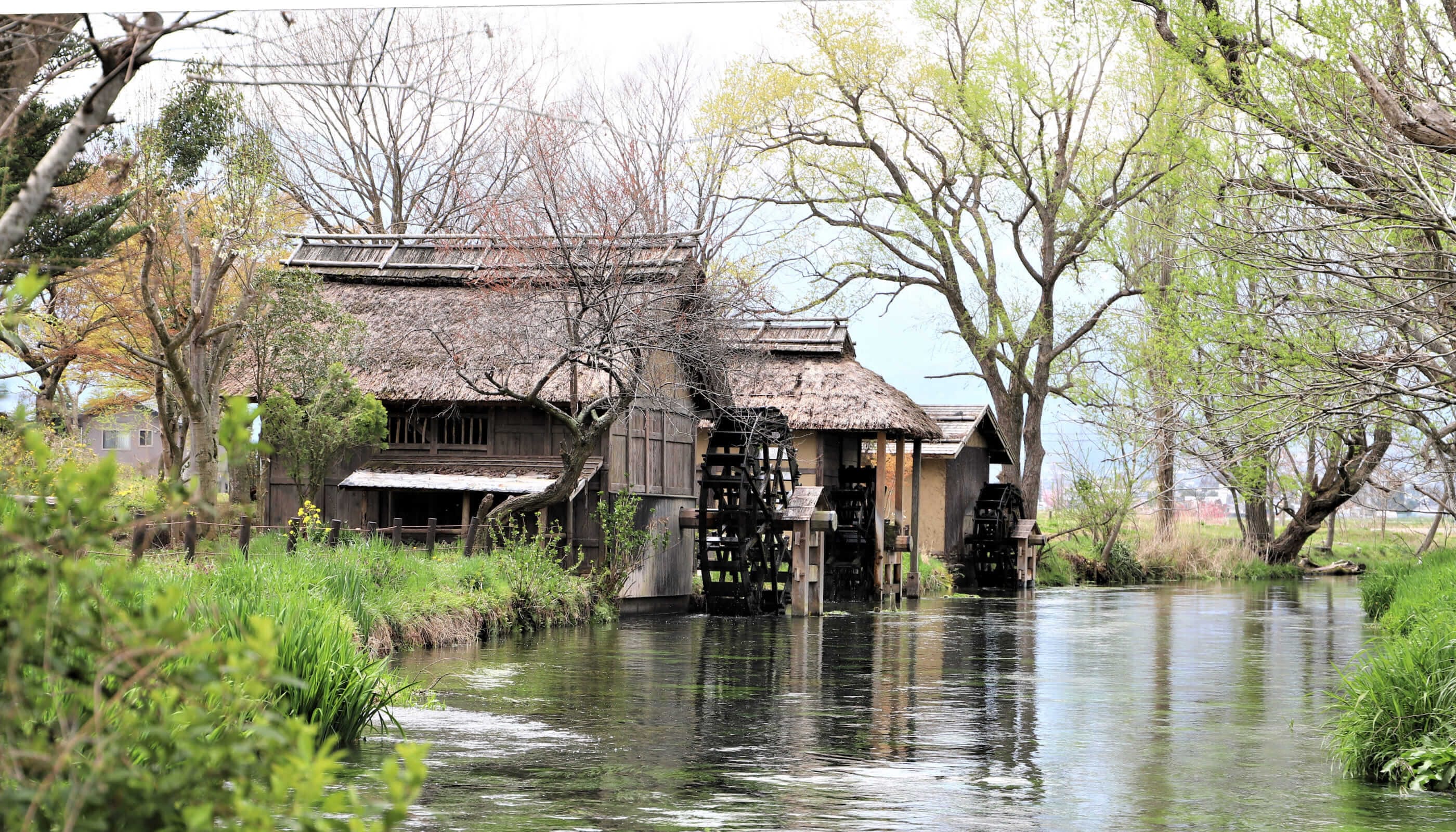 大王わさび農園