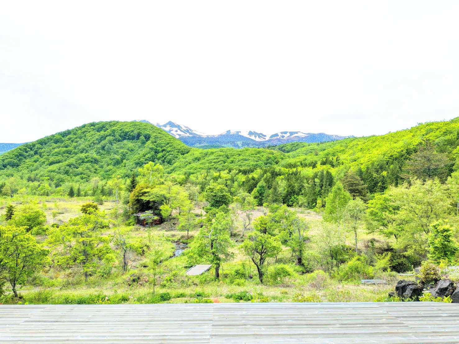 一の瀬草原
